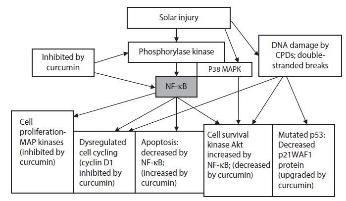 Figure 3.5.jpg