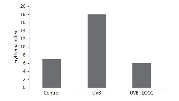 FIGURE 4.2.jpg