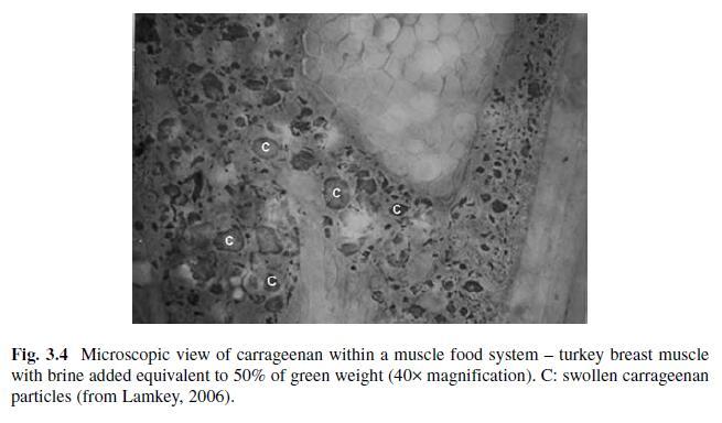 Fig. 3.4.jpg