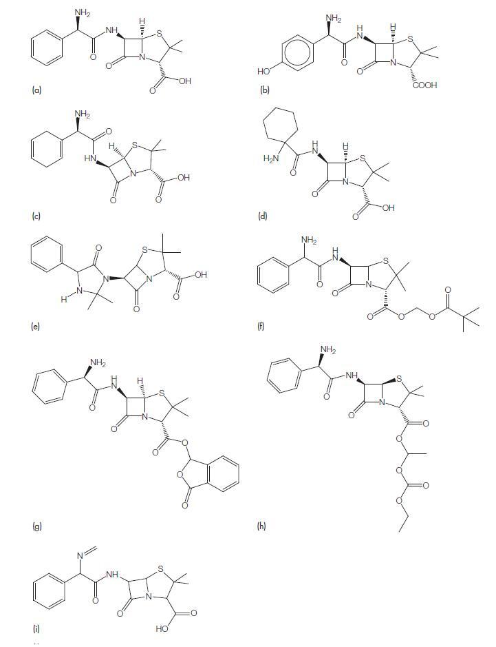 Fig 3.1.jpg