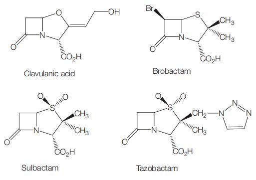 Figure 13.1.jpg