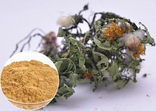 Dandelion extract.jpg