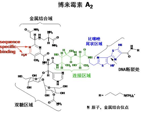 博萊霉素 化學結(jié)構(gòu)