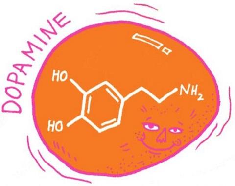 快樂傳遞因子—多巴胺和內啡肽