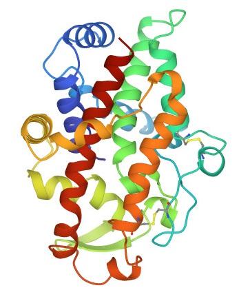 Nuclease P1.jpeg