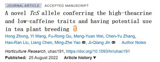 一種具有高茶堿低咖啡因性狀的新型 TcS 等位基因
