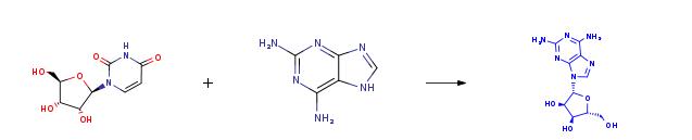 synthesis of 2-aminoadenosine