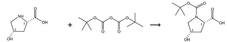 N-Boc-順式-4-羥基-L-脯氨酸的合成路線