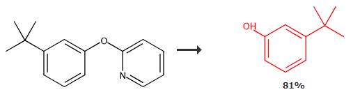 3-叔丁基苯酚的合成與應(yīng)用