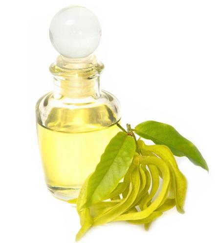 Ylang Ylang Oil.jpg