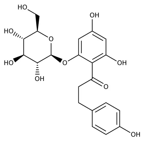 根皮苷的來源與功效