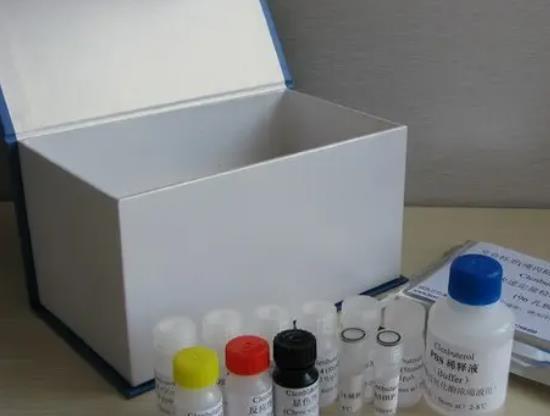 人表面膜免疫球蛋白A(MIGA)ELISA KIT