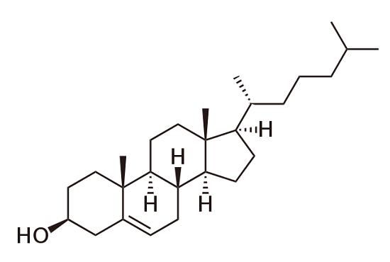 Cholesterol.png