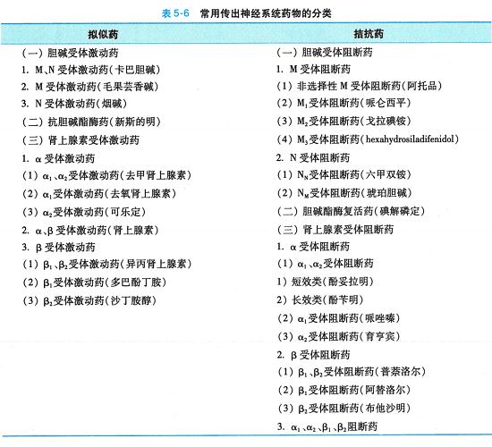 膽堿受體和腎上腺素受體的激動劑、阻斷劑匯總