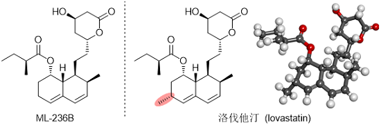 降膽固醇藥物----洛伐他汀