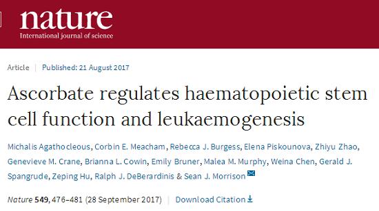 維生素C調節(jié)造血干細胞功能和白血病發(fā)生