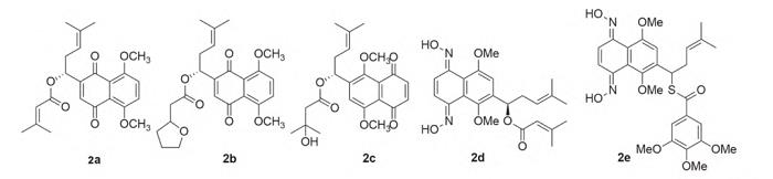 側(cè)鏈和萘醌環(huán)同時(shí)修飾的五種紫草寧衍生物.png