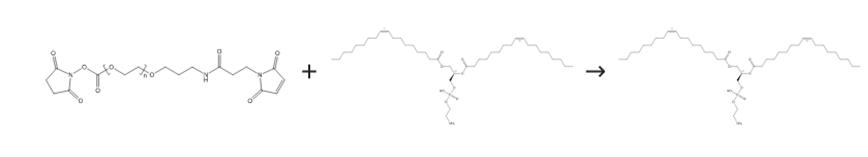 圖2 1，2-二油酰-SN-甘油-3-磷酰乙醇胺的合成路線[2]。