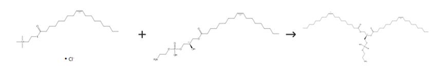 圖3 1，2-二油酰-SN-甘油-3-磷酰乙醇胺的合成路線[3]。