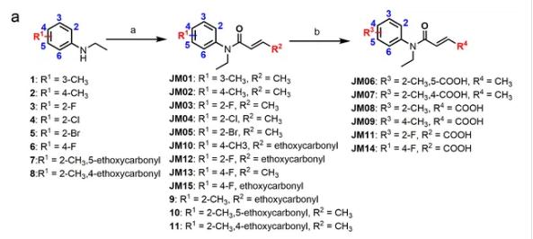 克羅米通衍生物JM03通過抑制OSM-9可更顯著延長壽命1.png