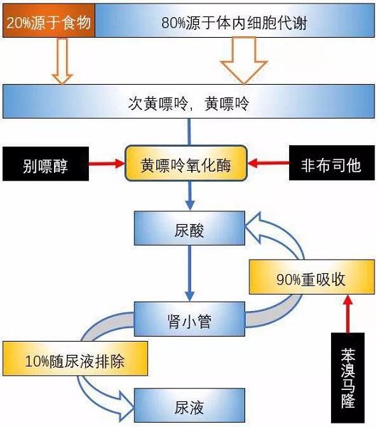 別嘌醇、苯溴馬隆、非布司他用藥區(qū)別？