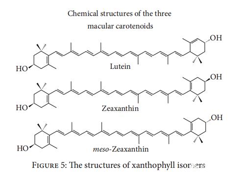 葉黃素，吃還是不吃？