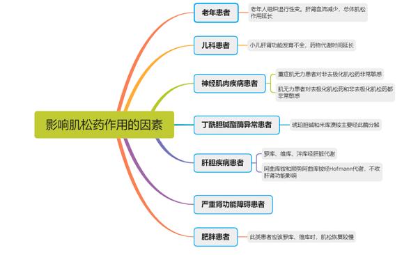 常用麻醉藥之羅庫(kù)溴銨