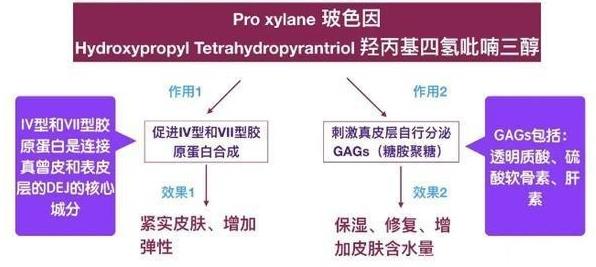 玻色因的生物活性及應(yīng)用