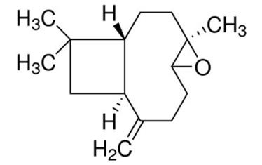 石竹素在化妝品中的應(yīng)用