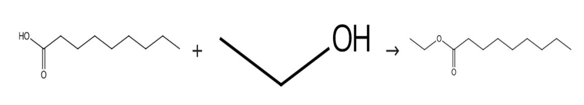 圖1壬酸乙酯的合成路線