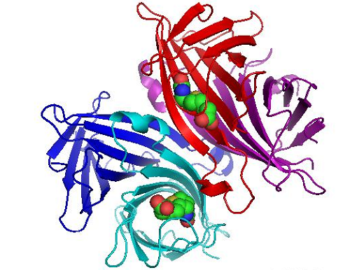 鏈霉親和素及其衍生物