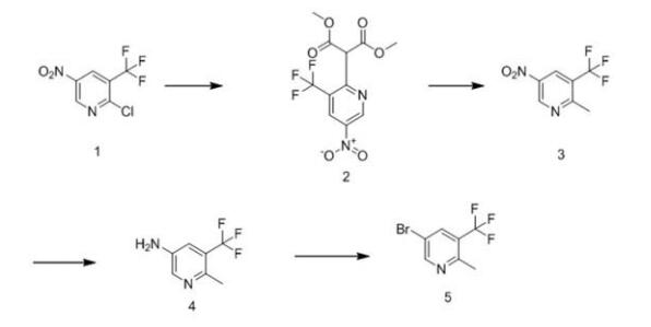 5-溴-2-三氟甲基吡啶的合成路線