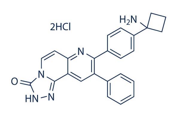 MK-2206 2HCl