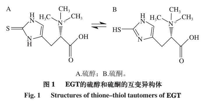 EGT的結(jié)構(gòu)