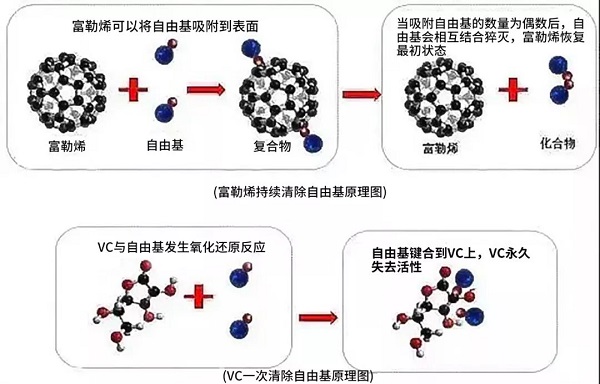 富勒烯對自由基有高度的親和