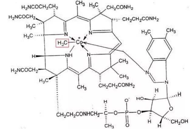 生素 B12 和甲鈷胺是同一藥物嗎？生素 B12 的功效是什么？