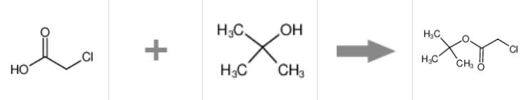 氯乙酸叔丁酯的制備及應(yīng)用