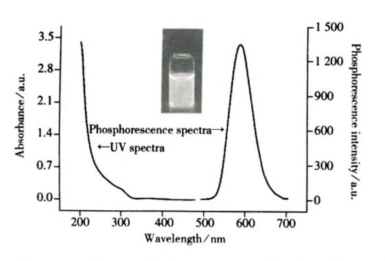 PEl包覆Mn摻雜znS量子點的磷光和紫外光譜圖