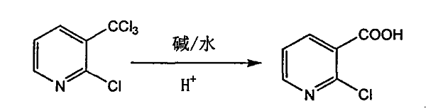 2-氯煙酸的合成