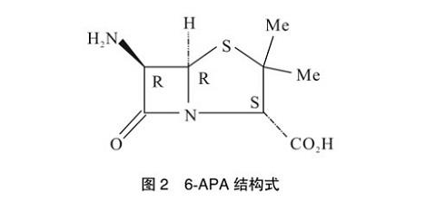 舒巴坦酸的中間體6-APA.jpg