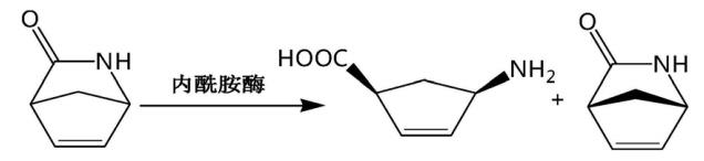 (-)-文斯內(nèi)酯反應(yīng)式