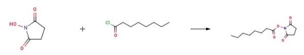 CAPRYLIC ACID N-SUCCINIMIDYL ESTER