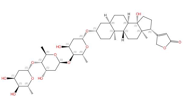 圖1 洋地黃毒甙的結(jié)構(gòu)