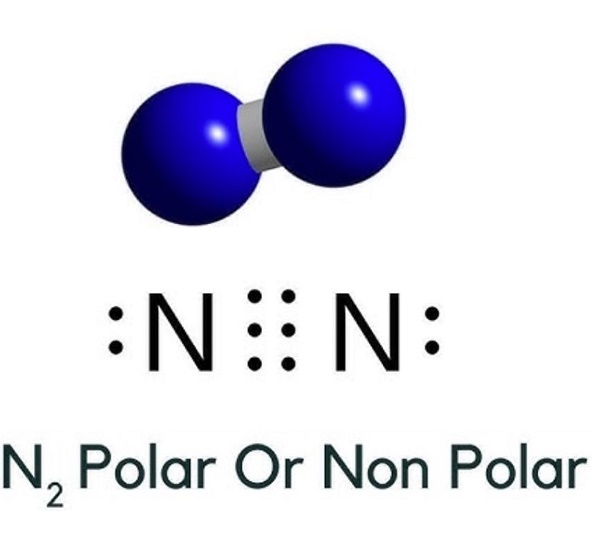 Nitrogen