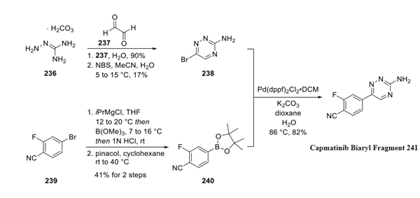 Capmatinib Biaryl Fragment synthesis