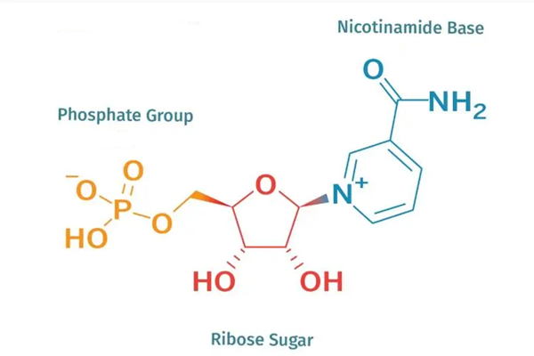 β-Nicotinamide Mononucleotide