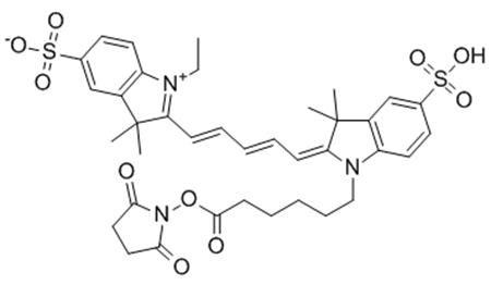 CY5-NHS酯的化學(xué)結(jié)構(gòu)式