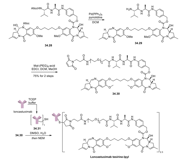 Loncastuximab Tesirine