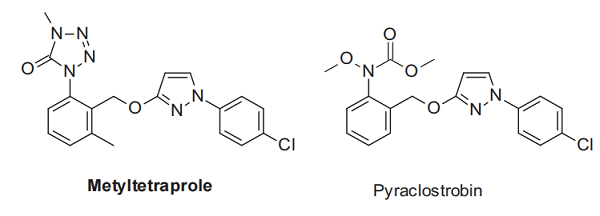 Metyltetraprole