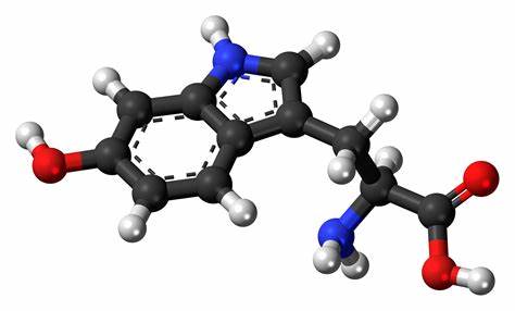 5-羥基色氨酸